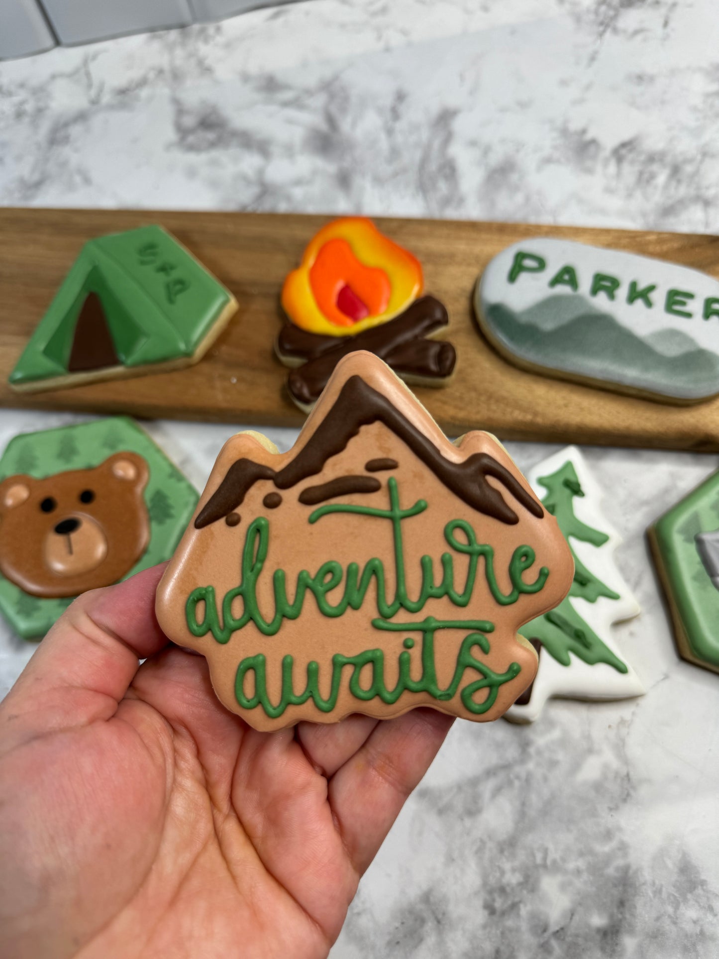 Adventure Awaits Camping Decorated Cookie Set