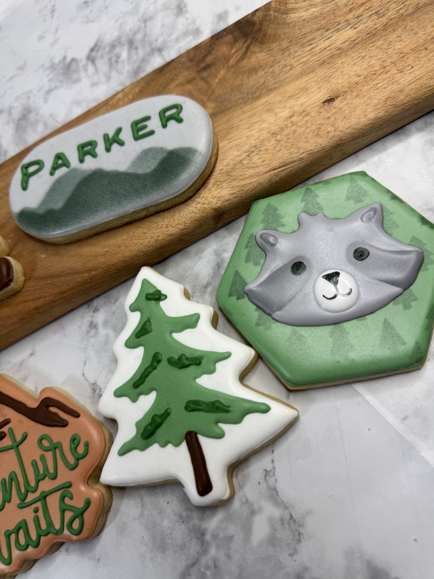 Adventure Awaits Camping Decorated Cookie Set