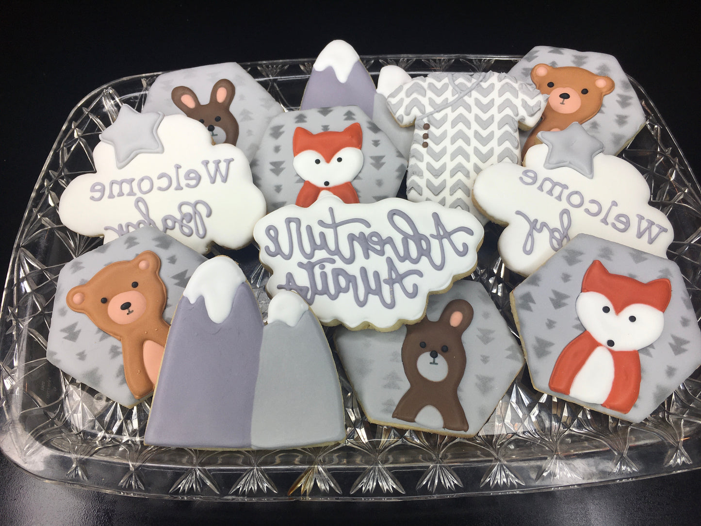 Adventure Awaits Baby Shower Cookie Set