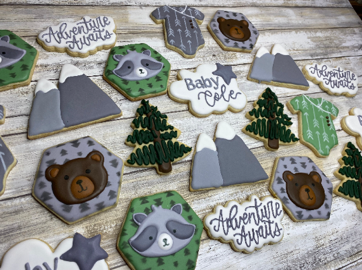 Adventure Awaits Baby Shower Cookie Set