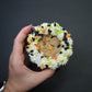 Halloween Mini Cookie Cake