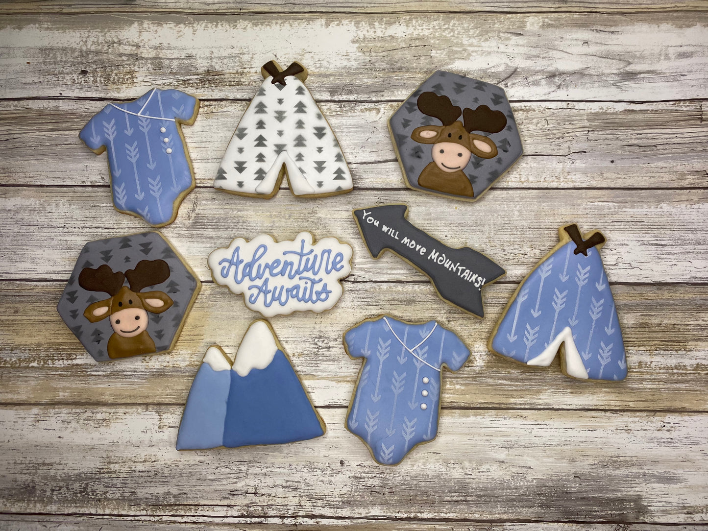 Adventure Awaits Baby Shower Cookie Set