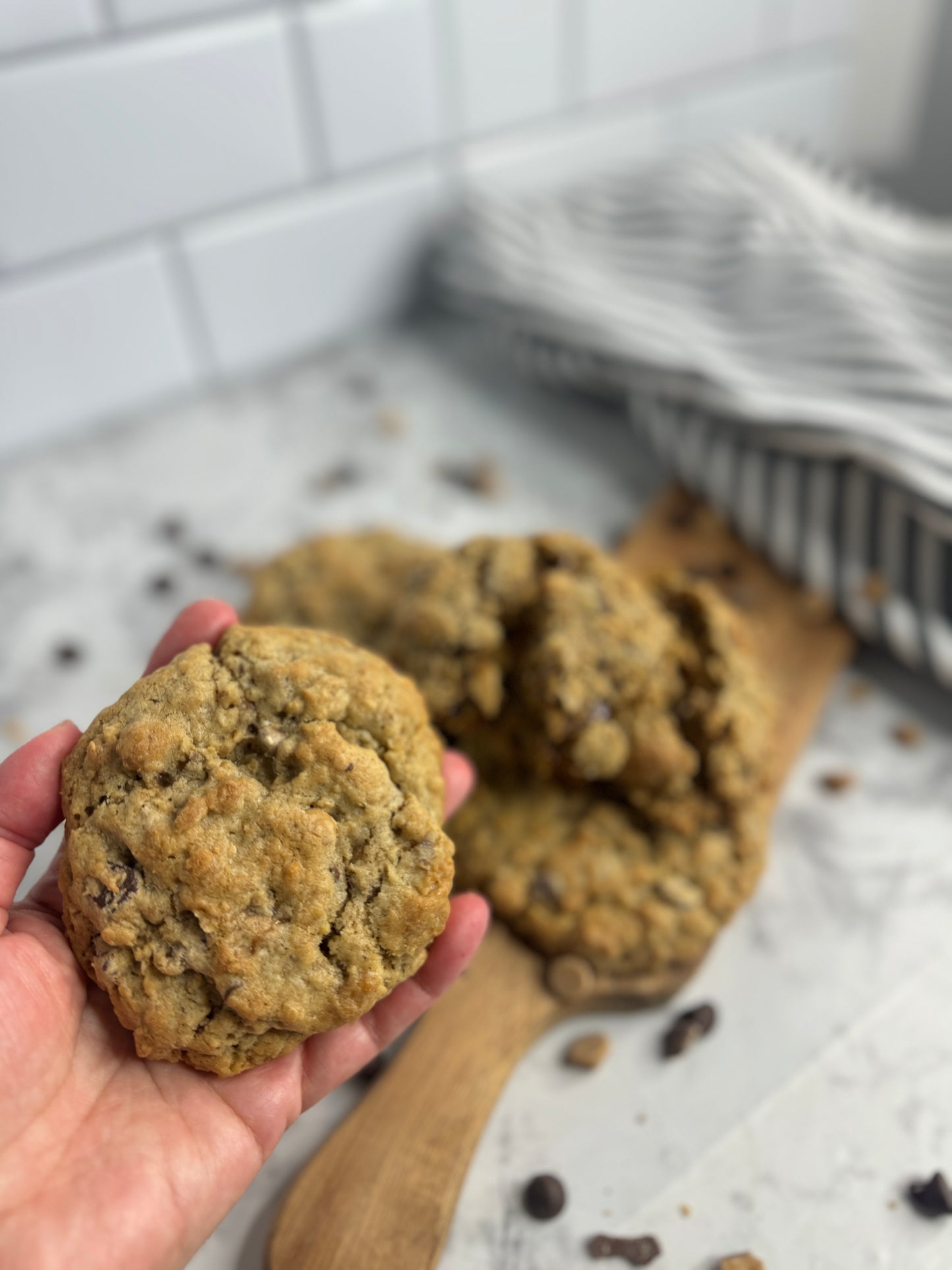 Oatmeal, Peanut Butter Chip, Chocolate Chip, and Toffee Gourmet Cookie