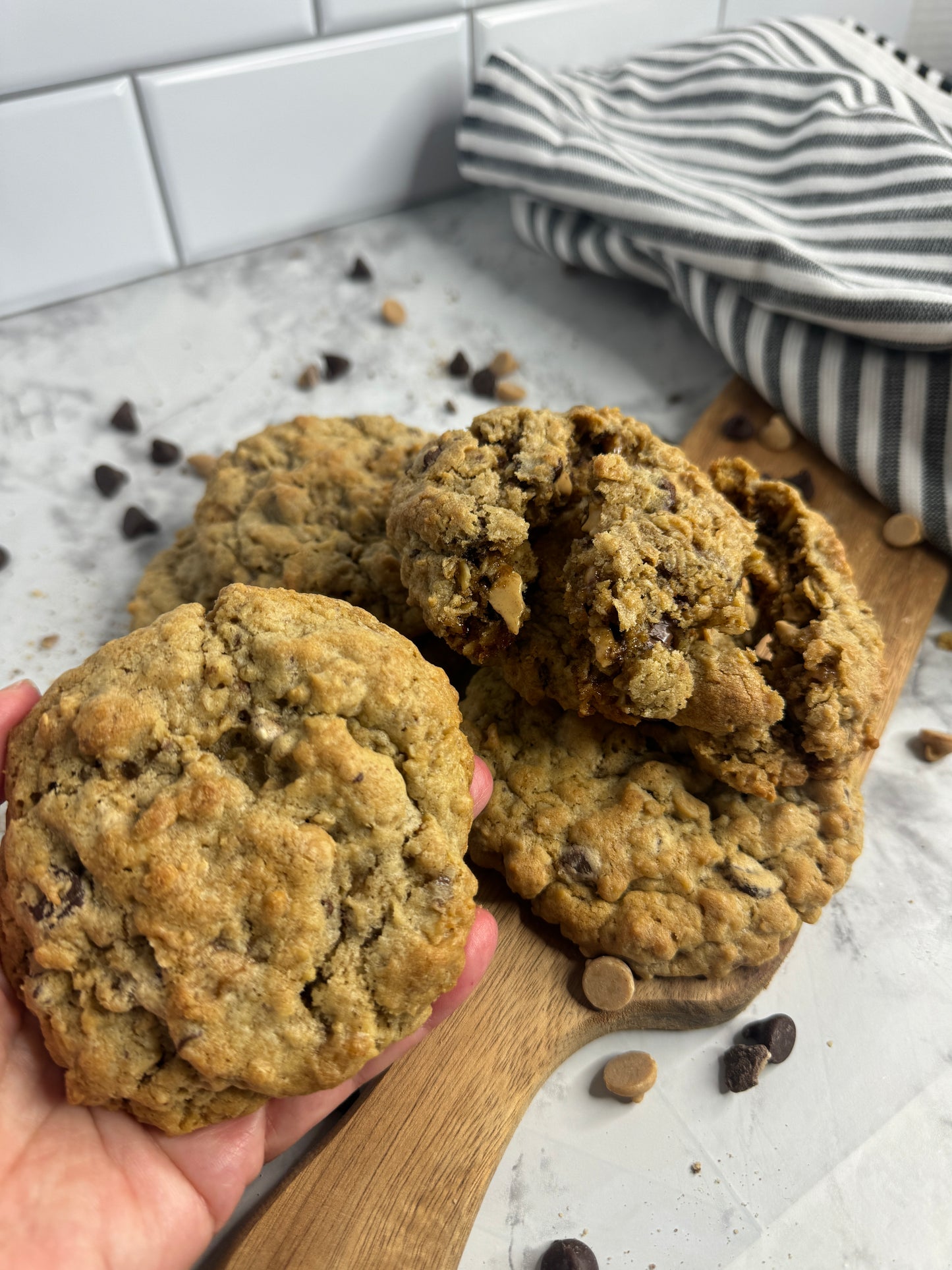 Oatmeal, Peanut Butter Chip, Chocolate Chip, and Toffee Gourmet Cookie