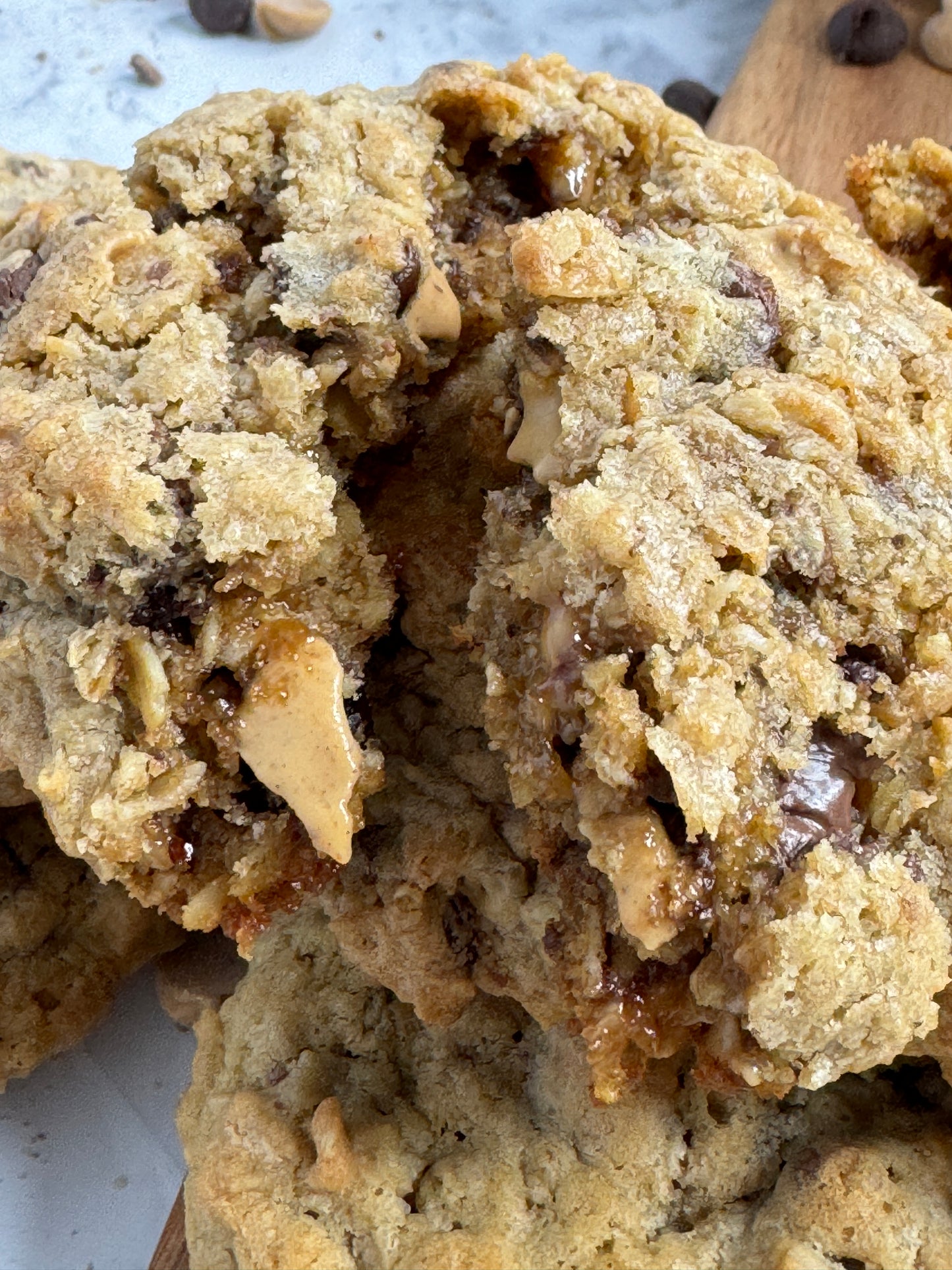 Oatmeal, Peanut Butter Chip, Chocolate Chip, and Toffee Gourmet Cookie