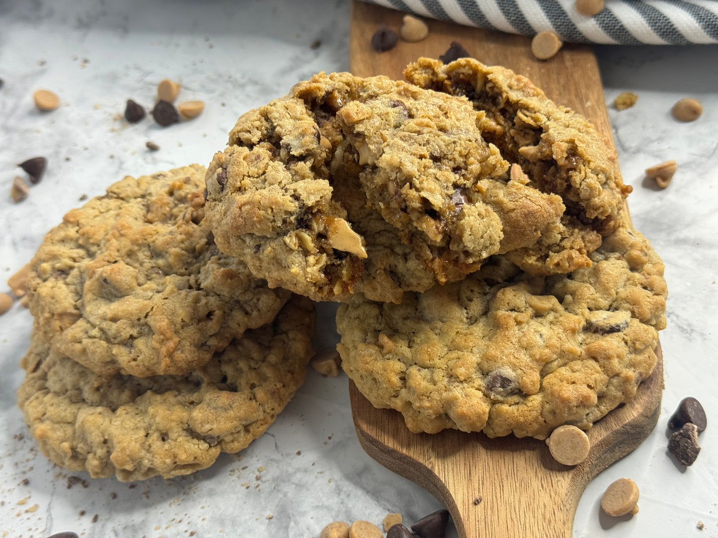 Oatmeal, Peanut Butter Chip, Chocolate Chip, and Toffee Gourmet Cookie