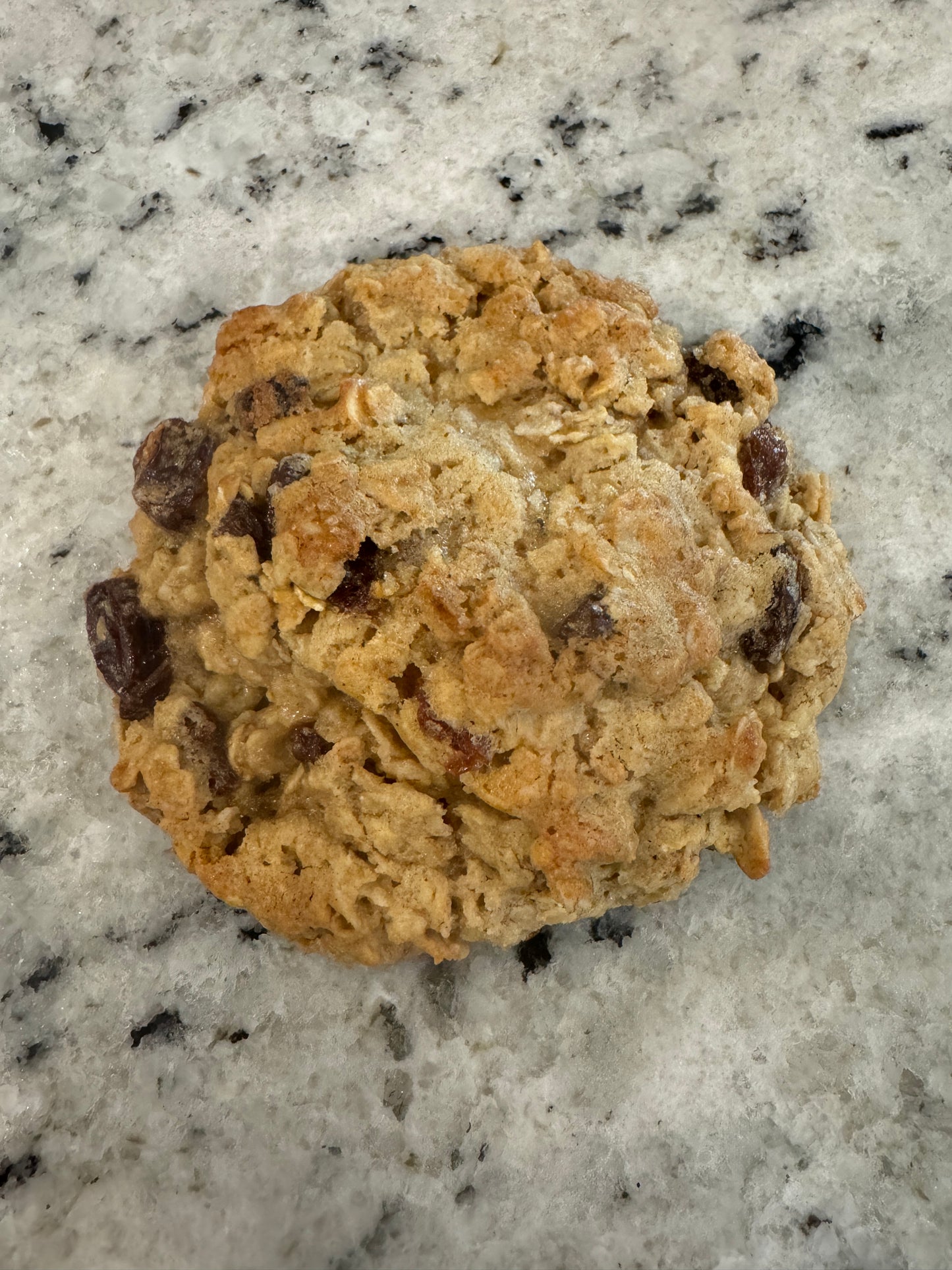 Oatmeal Raisin Gourmet Cookie