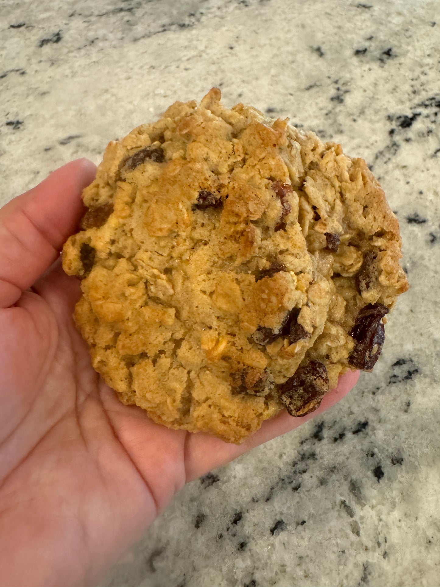 Oatmeal Raisin Gourmet Cookie