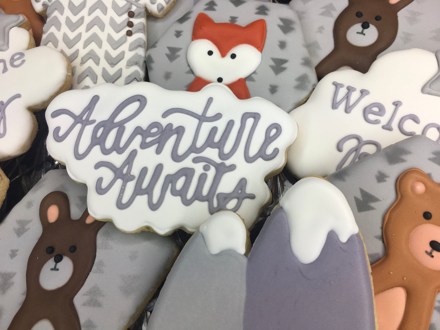 Adventure Awaits Baby Shower Cookie Set