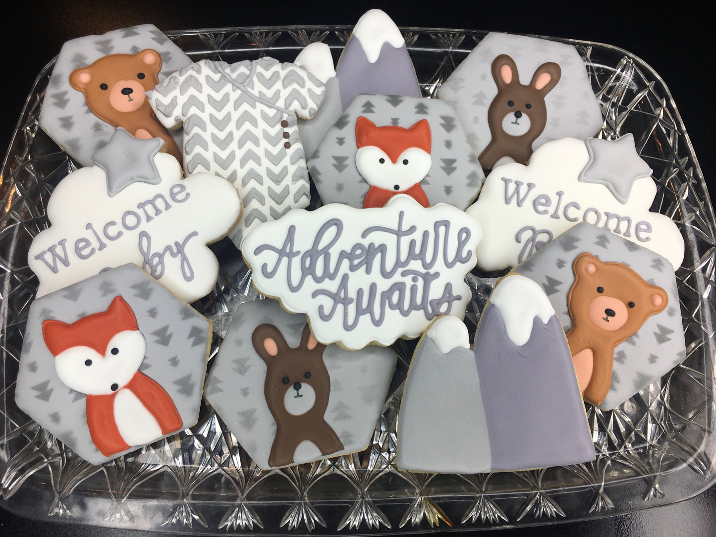 Adventure Awaits Baby Shower Cookie Set